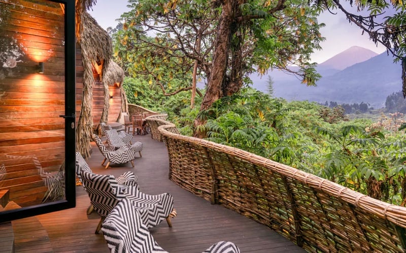7 Day Land of a Thousand Hills Rwanda Gorilla & Safari Tour